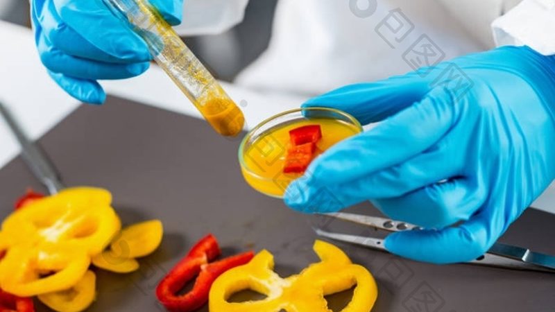 休闲食品招商：规格型号里的门道与商机
